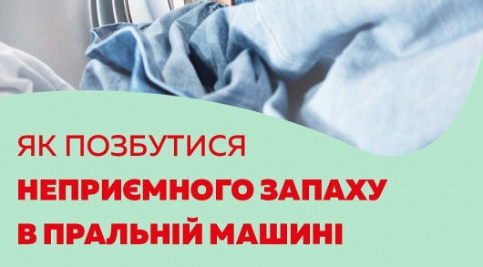 Запах тухлятины в машине